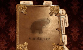 Screenshot webu Prodej starožitností