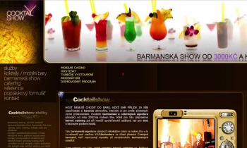 Screenshot webu Profesionální barman